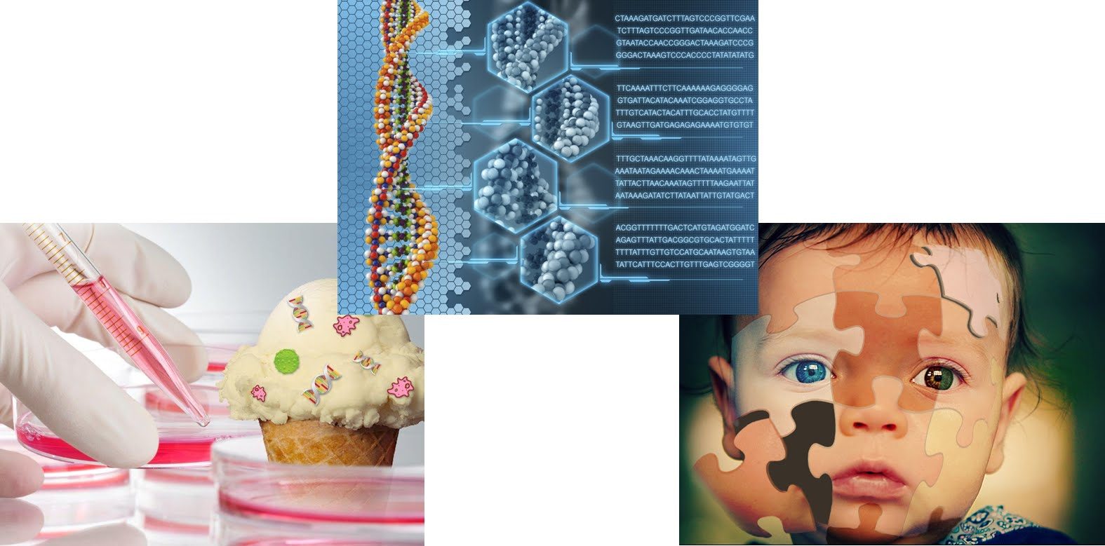 GMOs 2.0: Reengineering Life, from Plants to People