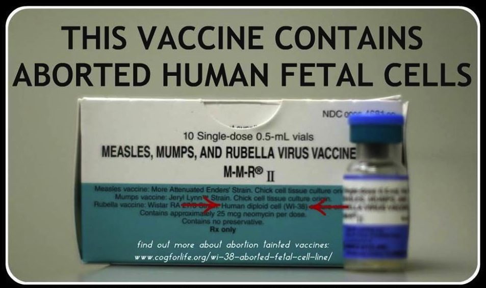 vaccine fetal cells