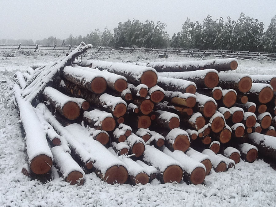Click to enlarge Snow near Arco.