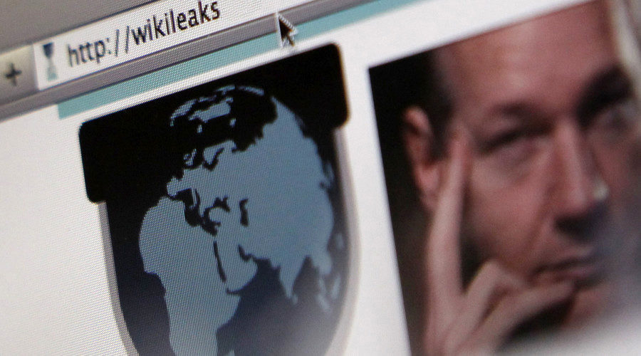 Wikileaks on computer screen