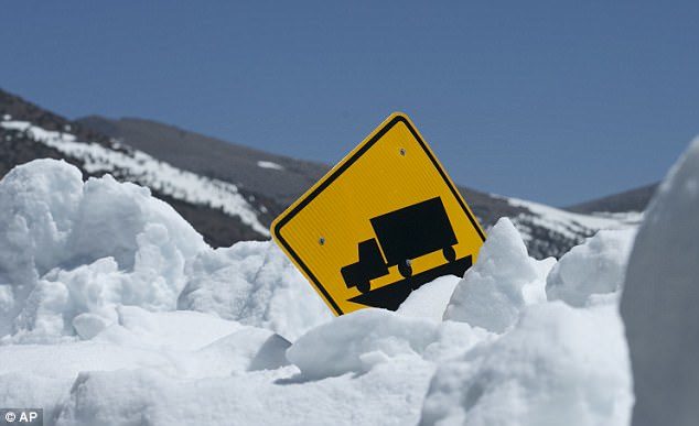 A trucking sign peers out of a high snow bank in Yosemite National Park in early June 