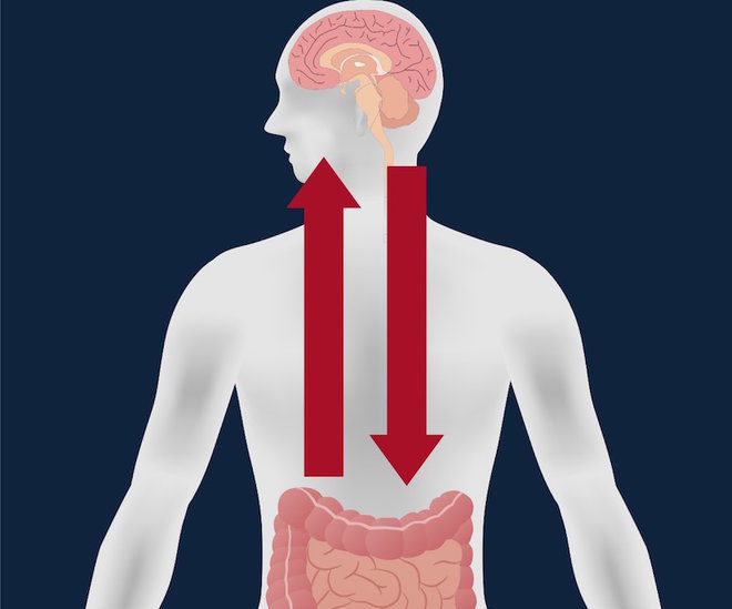 Click to enlarge brain gut connection