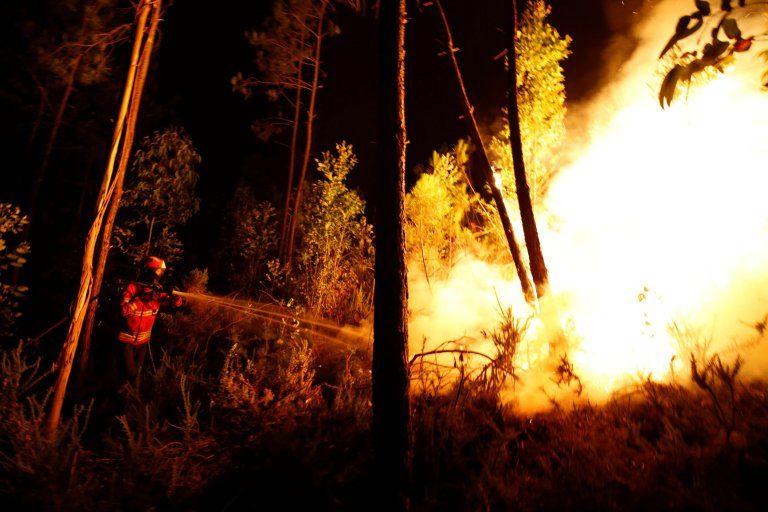 Firefighters work to put out a forest fire near Bouca, in central Portugal