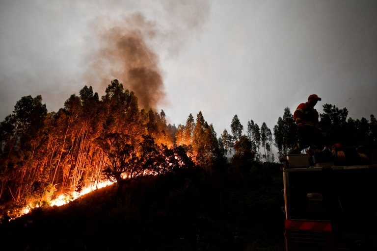 A firefighter stands on top of a fire combat truck during a wildfire at Penela, Coimbra