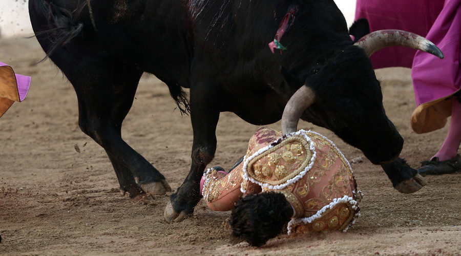 Click to enlarge Matador