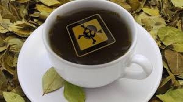 Click to enlarge Pesticides in tea