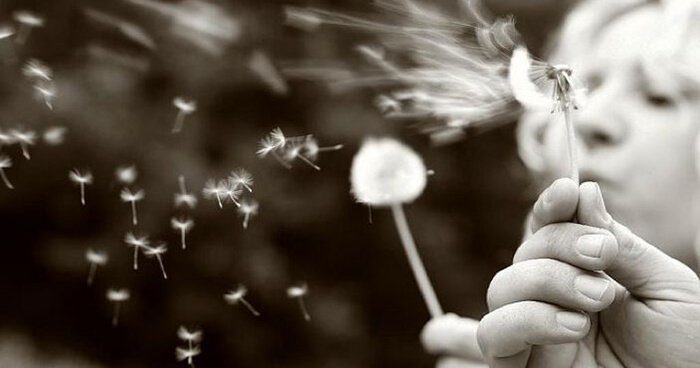 breath