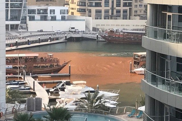 Click to enlarge Orange water in Dubai