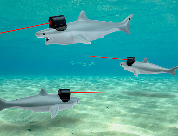 sharks lasers