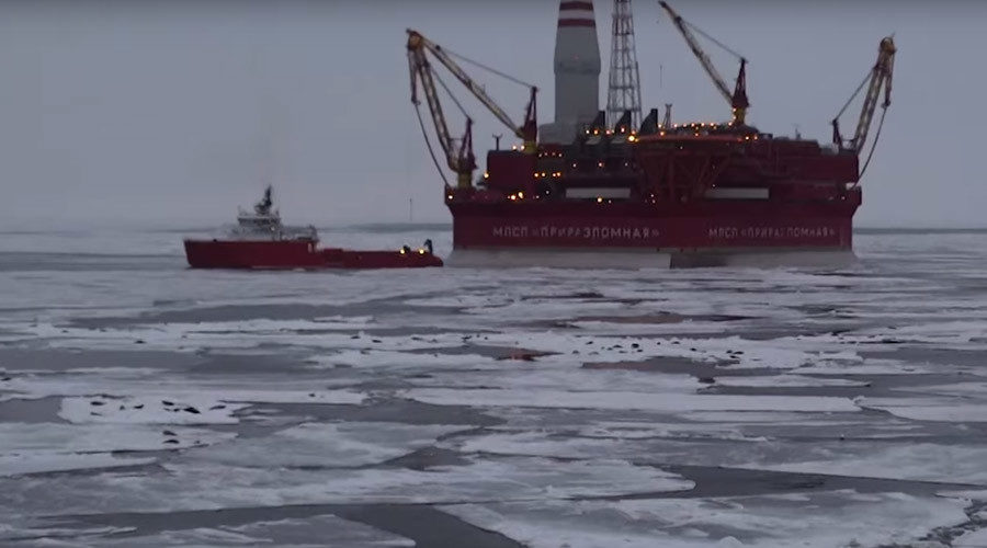Harp seals drilling rig pechora sea