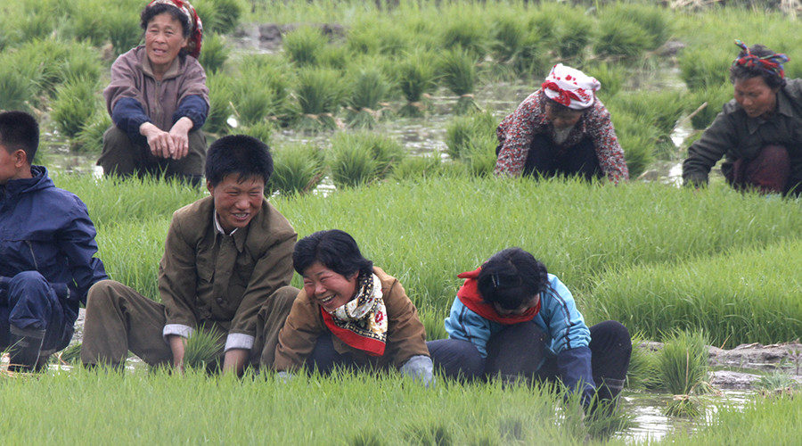 North Korean workers