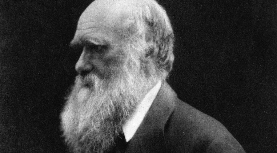 Click to enlarge Charles Darwin