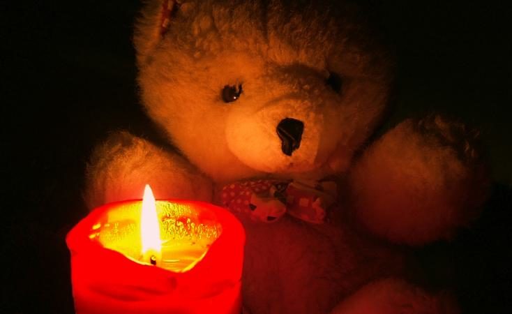 teddy bear