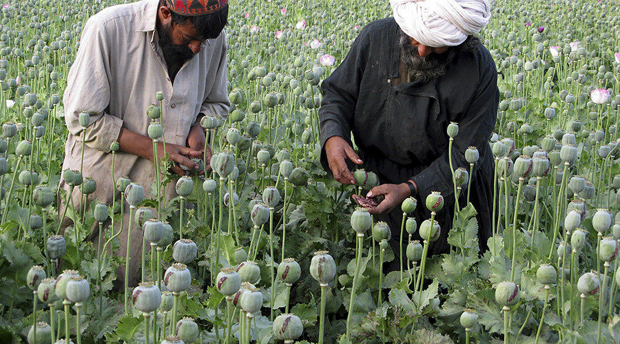 Afghan farmers