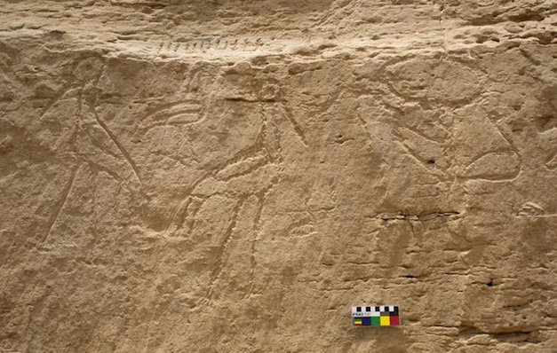 Click to enlarge Hieroglyphics El-Khawy Egypt