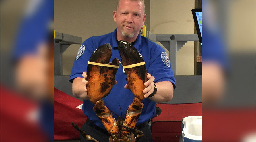 TSA lobster