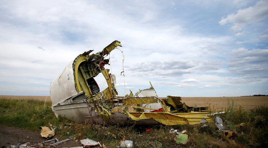 wreckage is seen at the crash site of the Malaysia Airlines Flight MH17