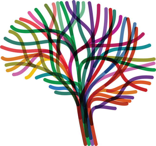 brain pathways