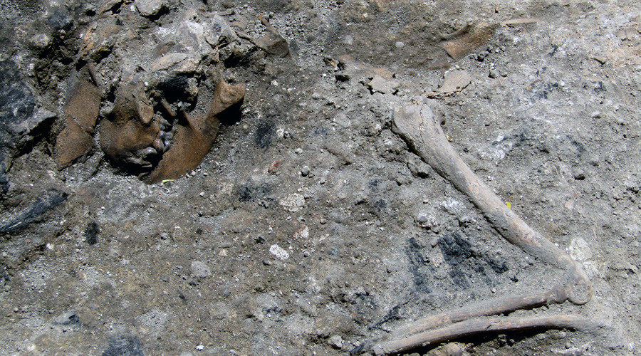Click to enlarge rome dog skeleton