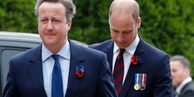 Click to enlarge david cameron prince william