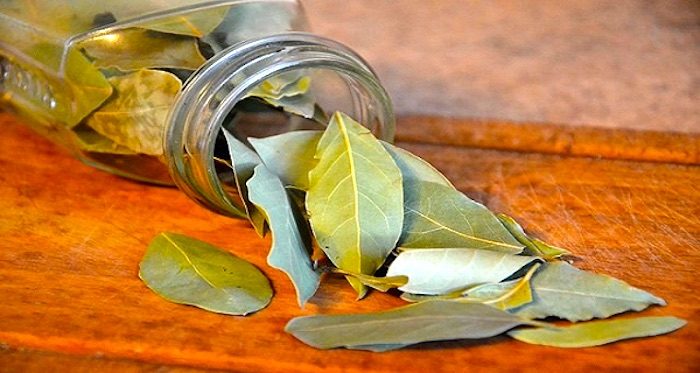 Bay Leaves