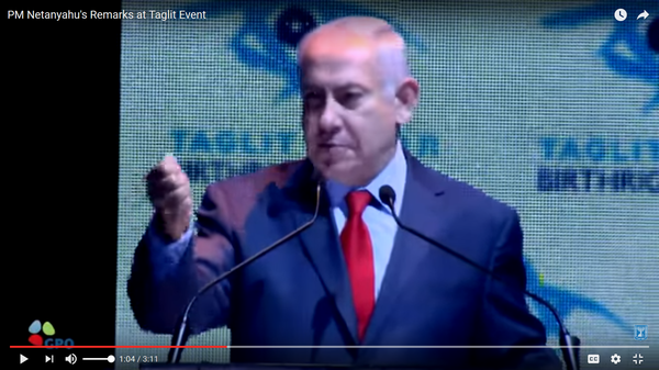 Netanyahu's fist
