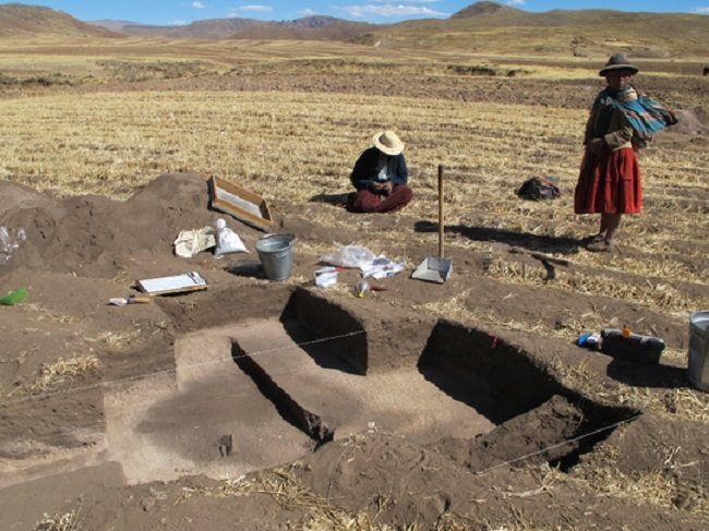 Click to enlarge Excavations around Soro Mik'aya Patjxa