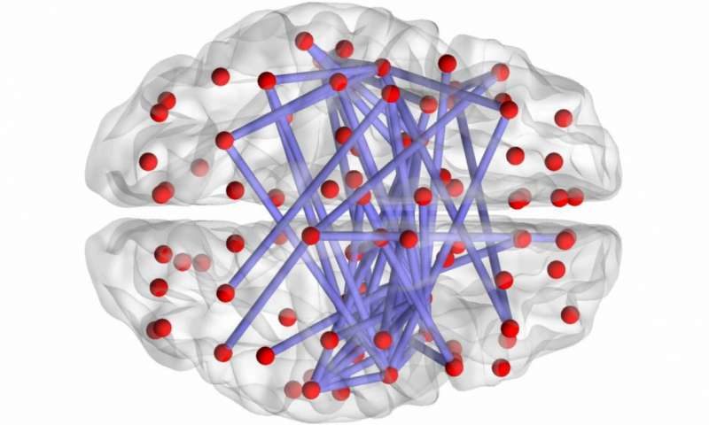 brain regions empathetic decision making