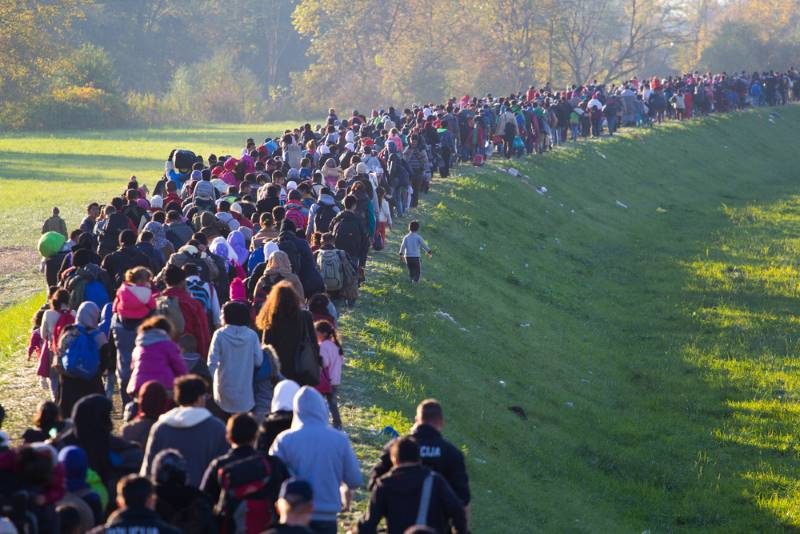 migrants refugees