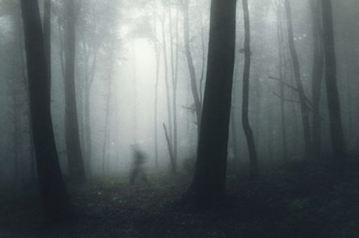 David Paulides and bigfoot