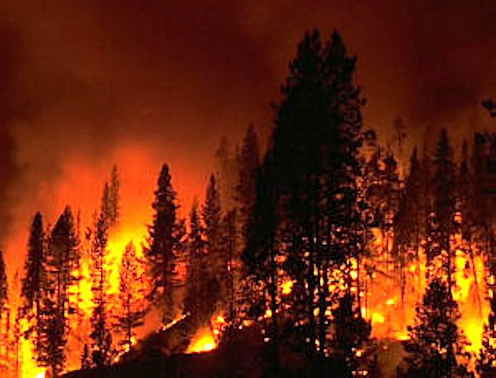 Click to enlarge forestfire