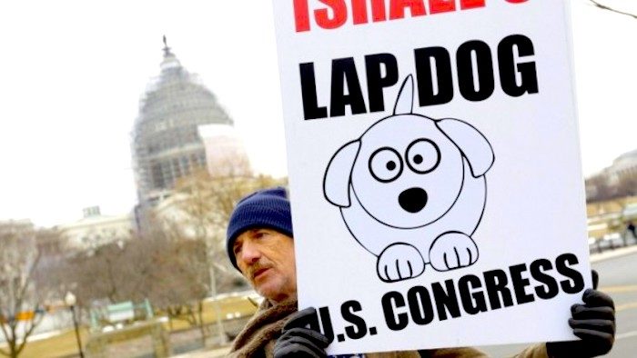 lapdog