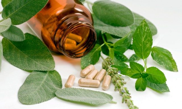 Plant Medicine