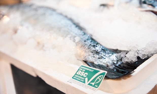 Click to enlarge ASC certified fish