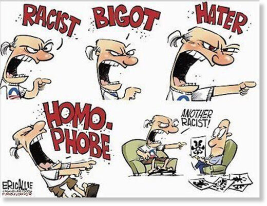 SJWs, Social Justice Warriors