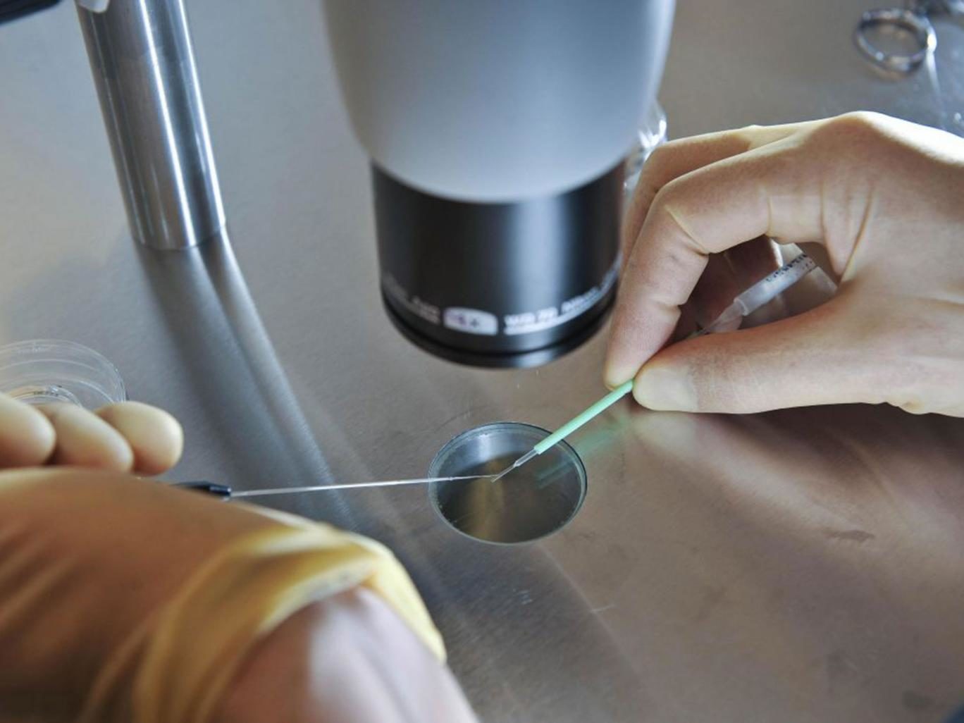 Click to enlarge microscope