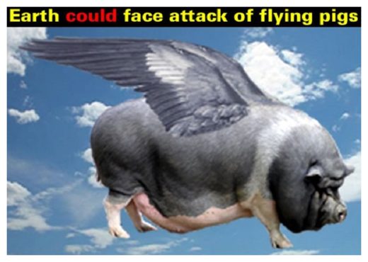Flying Pigs