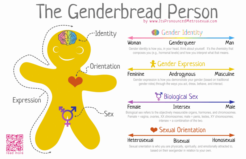 Click to enlarge genderbread person