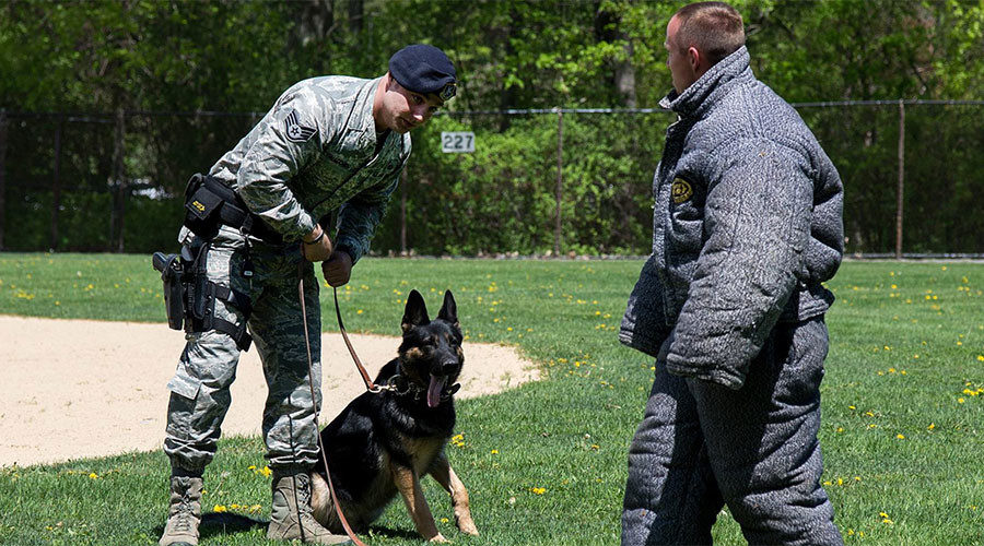 soldier and dog