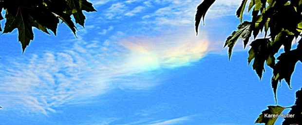Circumhoriztal arc in Nanaimo, BC