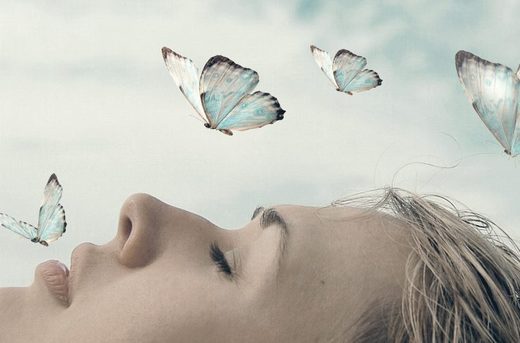 butterfly dream