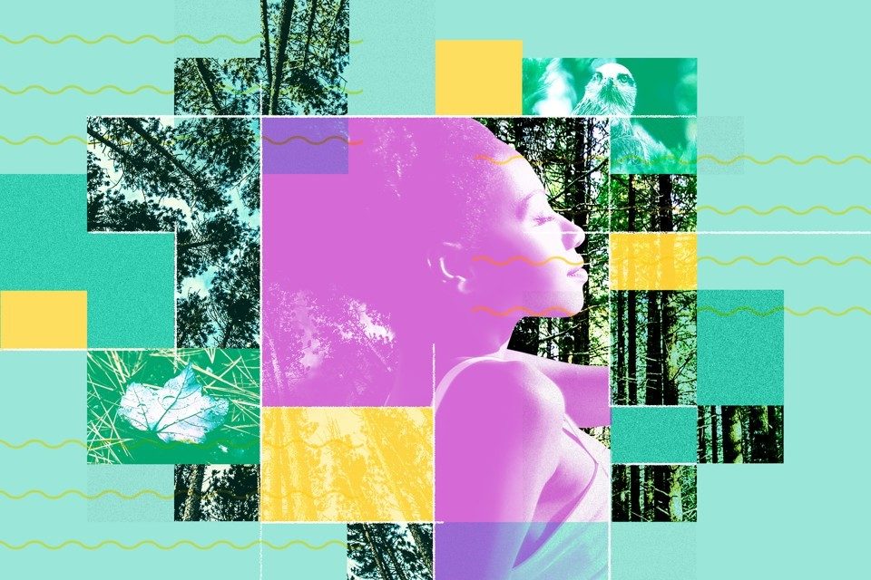 forest bathing