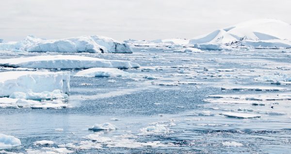 ICE FLOES