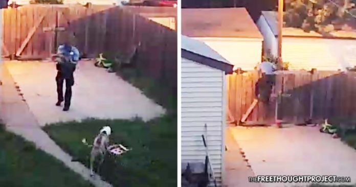 cop shoots dog