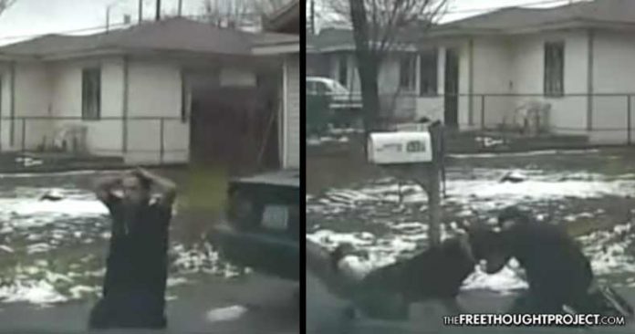 Click to enlarge police K9 attack