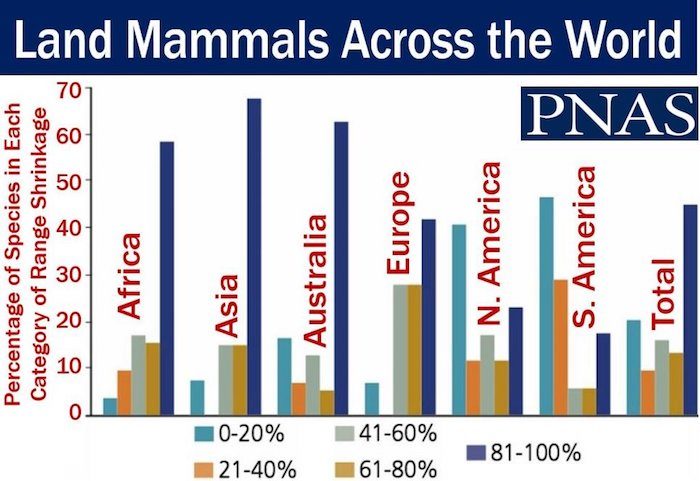 Click to enlarge landmammal extinct
