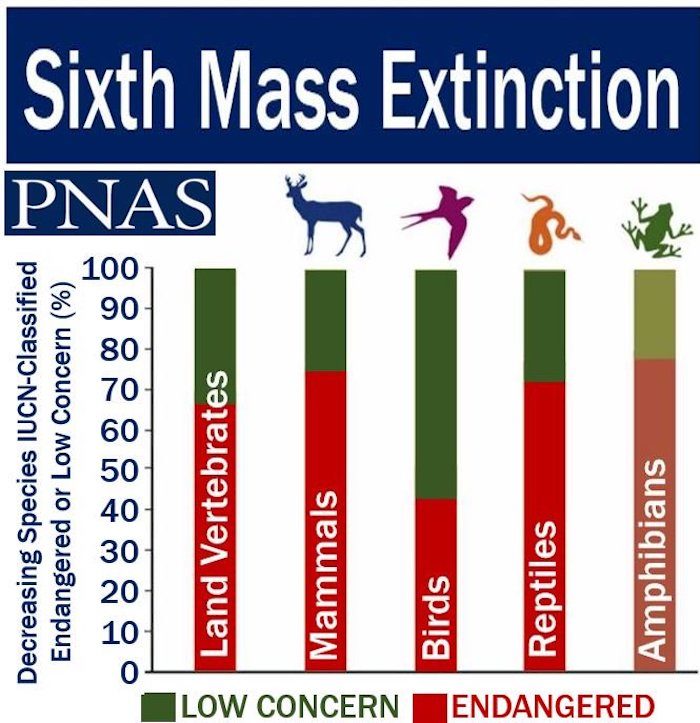 Click to enlarge Sixth Mass