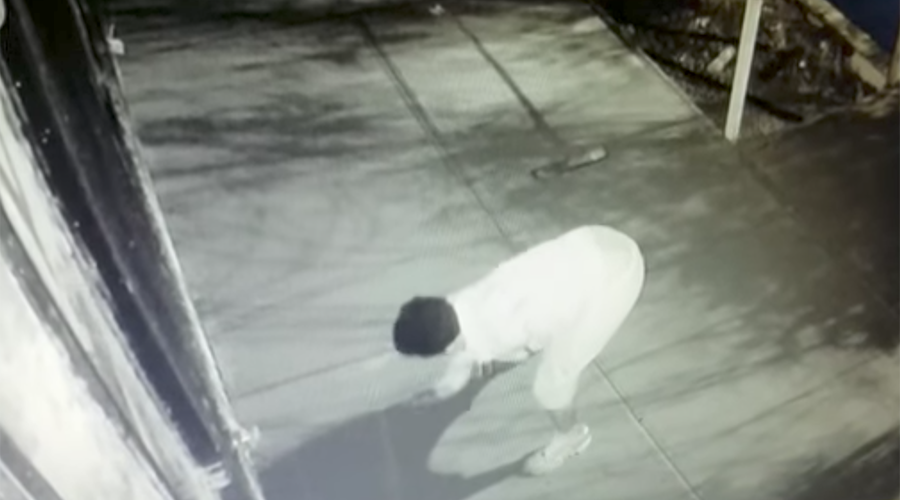 vandal caught camera