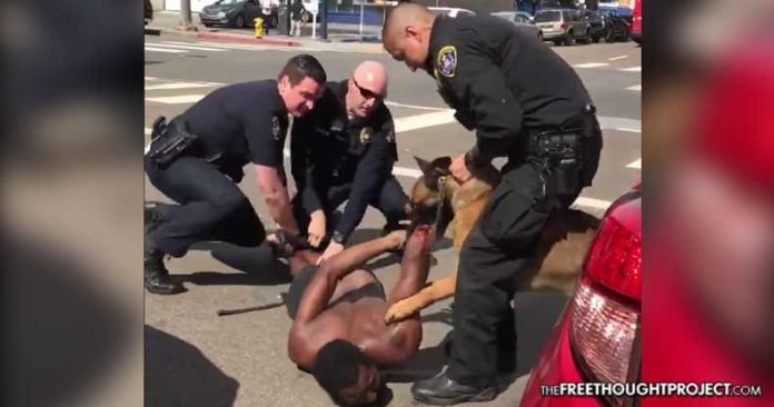police dog mauling
