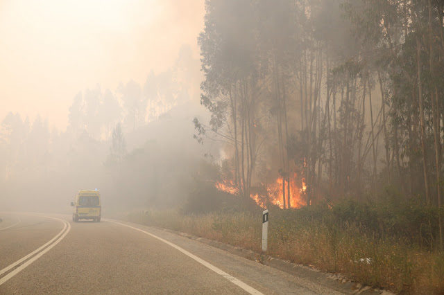 Click to enlarge wild fire